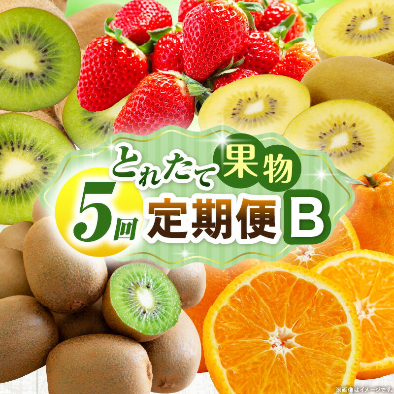 とれたて果物 5回定期便B 果物 フルーツ 果物定期便 フルーツ定期便 定期便 5回 いちご キウイ デコポン ゴールドキウイ 濃厚 旬の果物 定期 人気 おすすめ 贈答 贈り物 青果物 糖度 香川県 三木町 送料無料