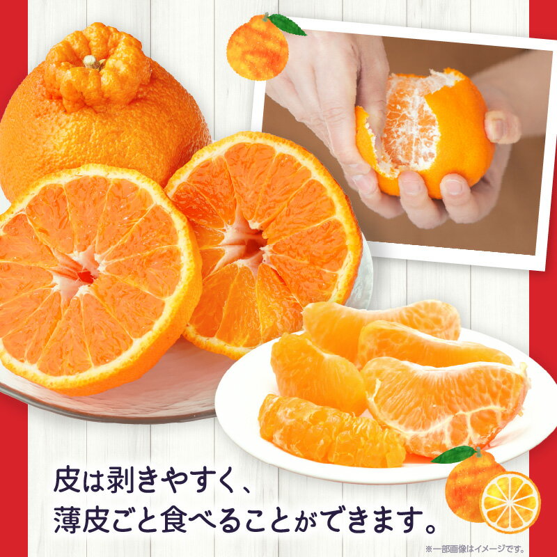 【ふるさと納税】ハウスデコポン約3kg（8-16玉）【香川県共通返礼品】 デコポン 甘い 酸味 柑橘 柑橘系 果物 フルーツ 青果 デザート グルメ おすすめ 贈答 贈り物 贈答用 ギフト プレゼント 特産品 特産 取り寄せ ふるさと 果肉 果汁 お裾分け 香川県 三木町 送料無料 サムネイル3