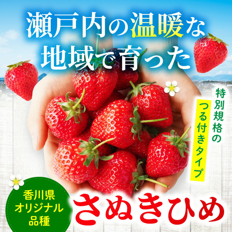 【ふるさと納税】三木町地域いちご部会『さぬきひめ』 つる付き 1kg 果物 フルーツ 苺 デザート 食後のデザート イチゴ 旬 おすすめ グルメ 季節 ギフト 果肉 おすそ分け アレンジ 生鮮食品 いちごジャム 旬の果物 贈答 贈り物 果実 青果物 パック 国産 冷蔵 香川県 三木町 サムネイル2