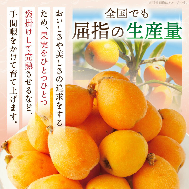 【ふるさと納税】【先行予約】初夏を感じる果物 香川県産びわ 約1.0kg びわ 枇杷 なつたより 果物 フルーツ 人気 香川 香川県 三木町 初夏 ハウス栽培 厳選 袋掛け 完熟 ジューシー 糖度が高い 先行受付 季節限定 旬 おすすめ デザート 香川県産 送料無料 サムネイル3
