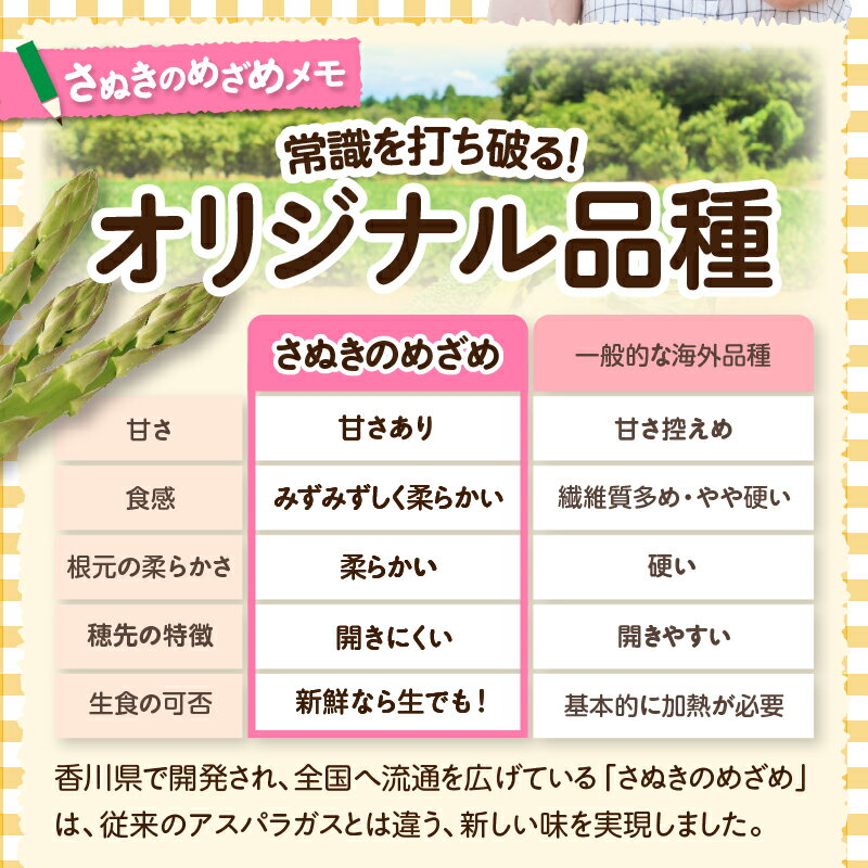 【ふるさと納税】三木町産 香川オリジナルアスパラガス「さぬきのめざめ」 セミロング　春芽　約950g 野菜 アスパラ アスパラガス さぬきのめざめ 春 冷蔵 新鮮 香川県 三木町 セミロング おすすめ - 画像3