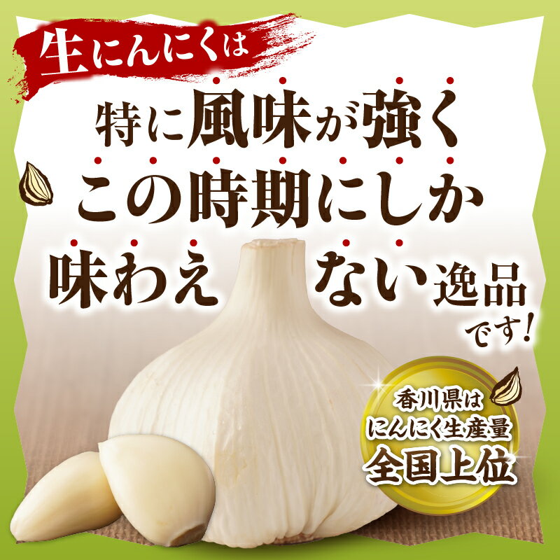 【ふるさと納税】三木町産訳あり生にんにく　約1.5kg にんにく 生にんにく ニンニク 訳あり 訳あり返礼品 訳あり品 野菜 新鮮 生野菜 香り豊か 栄養価が高い 肉厚 生 料理 スタミナ料理 家庭用 自宅用 香川県 三木町 - 画像2