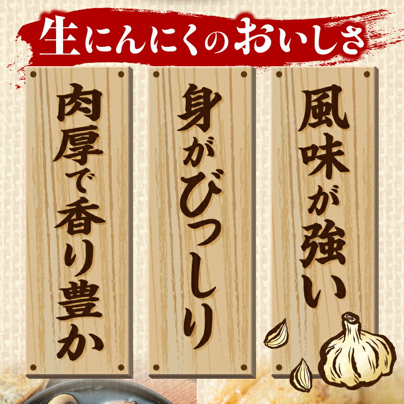 【ふるさと納税】三木町産訳あり生にんにく　約1.5kg にんにく 生にんにく ニンニク 訳あり 訳あり返礼品 訳あり品 野菜 新鮮 生野菜 香り豊か 栄養価が高い 肉厚 生 料理 スタミナ料理 家庭用 自宅用 香川県 三木町 - 画像3