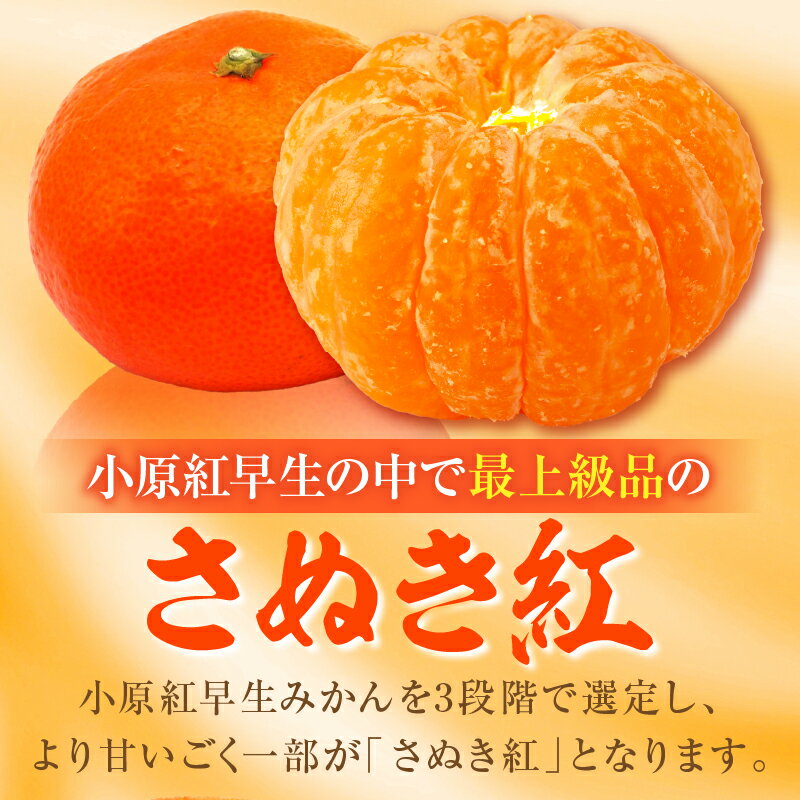 【ふるさと納税】【先行予約】＼オリジナル品種／ ハウスさぬき紅みかん 約1kg10-18玉（化粧箱入り）【香川県共通返礼品】みかん オレンジ 柑橘 果物 フルーツ 青果 デザート スイーツ おすすめ 贈答 ギフト プレゼント 化粧箱 特産品 小原早生みかん 特産 香川県 三木町 サムネイル2