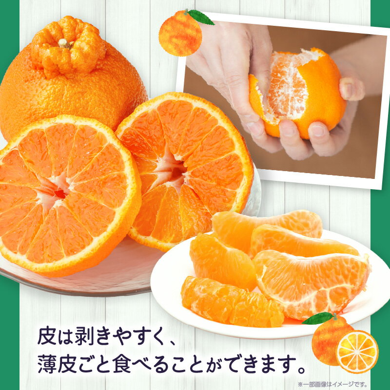 【ふるさと納税】貯蔵デコポン約3kg(8～16玉)【香川県共通返礼品】デコポン 甘い 酸味 柑橘 柑橘系 果物 フルーツ グルメ 果汁 貯蔵 酸味 人気 お裾分け デザート おすすめ 贈答 贈り物 贈答用 ギフト 特産品 特産 取り寄せ 香川県 三木町 送料無料 サムネイル3