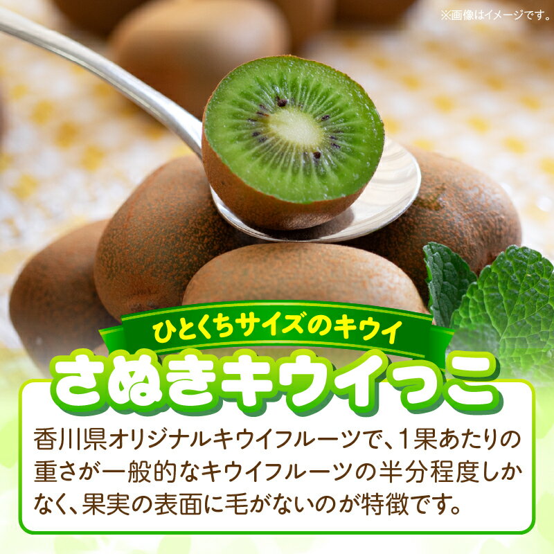【ふるさと納税】香川県オリジナルキウイフルーツ「さぬきキウイっこ」約1kg【香川県共通返礼品】 | キウイ キウイフルーツ 果物 フルーツ 青果 青果物 さぬきキウイっこ 果実 贈答 贈り物 ギフト 甘い 糖度が高い 季節のフルーツ 旬 おすすめ 香川県 三木町 サムネイル2