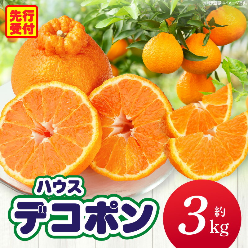 ハウスデコポン約3kg（8-16玉）【香川県共通返礼品】 デコポン 甘い 酸味 柑橘 柑橘系 果物 フルーツ 青果 デザート グルメ おすすめ 贈答 贈り物 贈答用 ギフト プレゼント 特産品 特産 取り寄せ ふるさと 果肉 果汁 お裾分け 香川県 三木町 送料無料