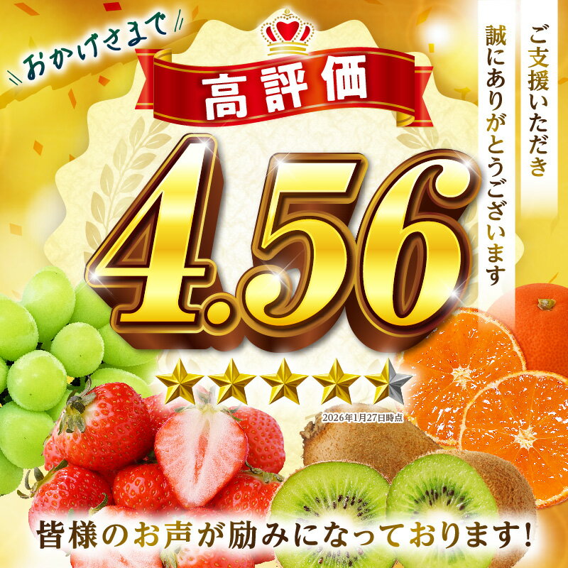 【ふるさと納税】＼ランキング急上昇／ さぬき旬のフルーツ大満足 4回定期便 果物 フルーツ 人気 定期便 青果物 いちご みかん シャインマスカット キウイフルーツ さぬきひめ 果物定期便 フルーツ定期便 苺 ふるさと おすすめ キウイ ランキング ご褒美 定期 香川県 三木町 - 画像3