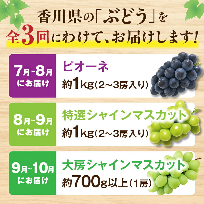 【ふるさと納税】ぶどう満足 3回定期便 ぶどう 定期便 果物 フルーツ デザート ピオーネ シャインマスカット マスカット 果肉 スイーツ 甘い 国産 贈り物 贈答 プレゼント ぶどう定期便 フルーツ定期便 人気 おすすめ 果物定期便 旬の果物 香川県 三木町 送料無料 サムネイル2