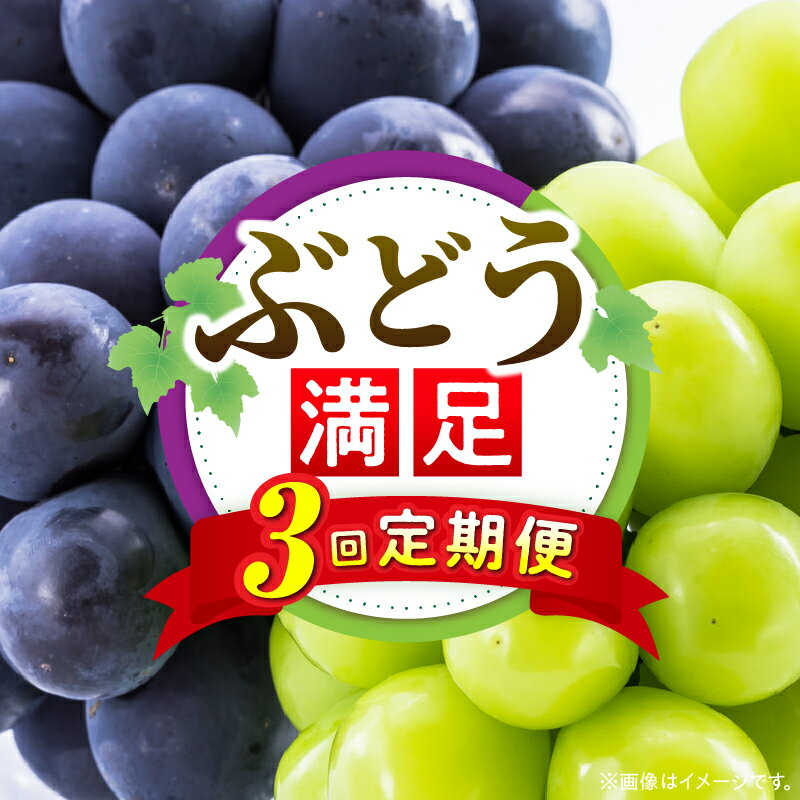 ぶどう満足 3回定期便 ぶどう 定期便 果物 フルーツ デザート ピオーネ シャインマスカット マスカット 果肉 スイーツ 甘い 国産 贈り物 贈答 プレゼント ぶどう定期便 フルーツ定期便 人気 おすすめ 果物定期便 旬の果物 香川県 三木町 送料無料