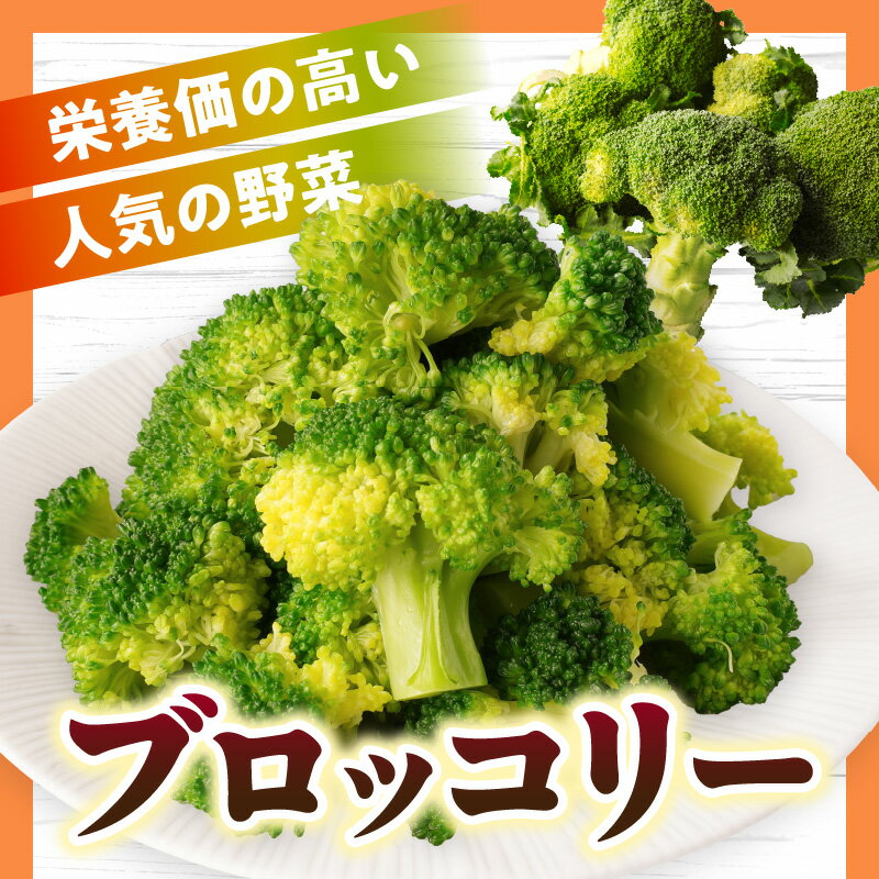 【ふるさと納税】三木町産ブロッコリー　約2.2kg ブロッコリー 野菜 食材 サラダ 料理 大きい 新鮮 生野菜 生鮮食品 栄養価が高い 冷蔵 おすすめ 香川県 三木町 送料無料 - 画像2