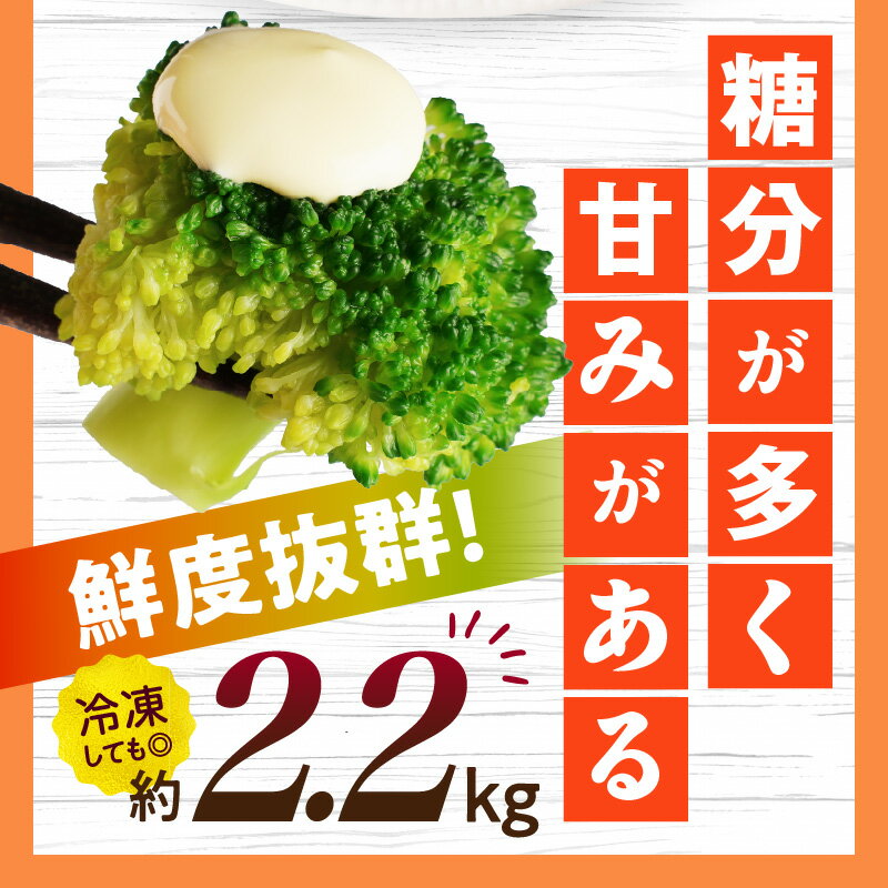 【ふるさと納税】三木町産ブロッコリー　約2.2kg ブロッコリー 野菜 食材 サラダ 料理 大きい 新鮮 生野菜 生鮮食品 栄養価が高い 冷蔵 おすすめ 香川県 三木町 送料無料 - 画像3