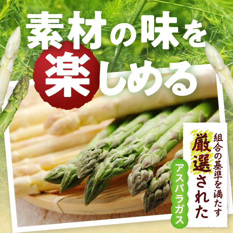 【ふるさと納税】【先行予約】グリーン・ホワイトアスパラガス約1kg（3～4月出荷） アスパラ アスパラガス ホワイトアスパラガス 新鮮 春野菜 グリーンアスパラガス 野菜 旬 旬の野菜 贈答 お裾分け 人気 おすすめ 贈り物 食品 香川県産 ふるさと 香川県 三木町 送料無料 - 画像2