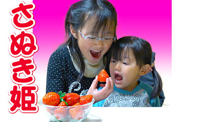 【ふるさと納税】香川県のオリジナル品種/さぬき姫いちご4パック 苺 イチゴ 果物類 フルーツ 　お届け：2026年1月23日から2026年4月10日まで サムネイル2