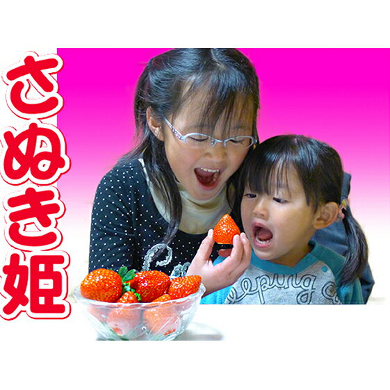 香川県のオリジナル品種/さぬき姫いちご4パック 苺 イチゴ 果物類 フルーツ 　お届け：2026年1月23日から2026年4月10日まで