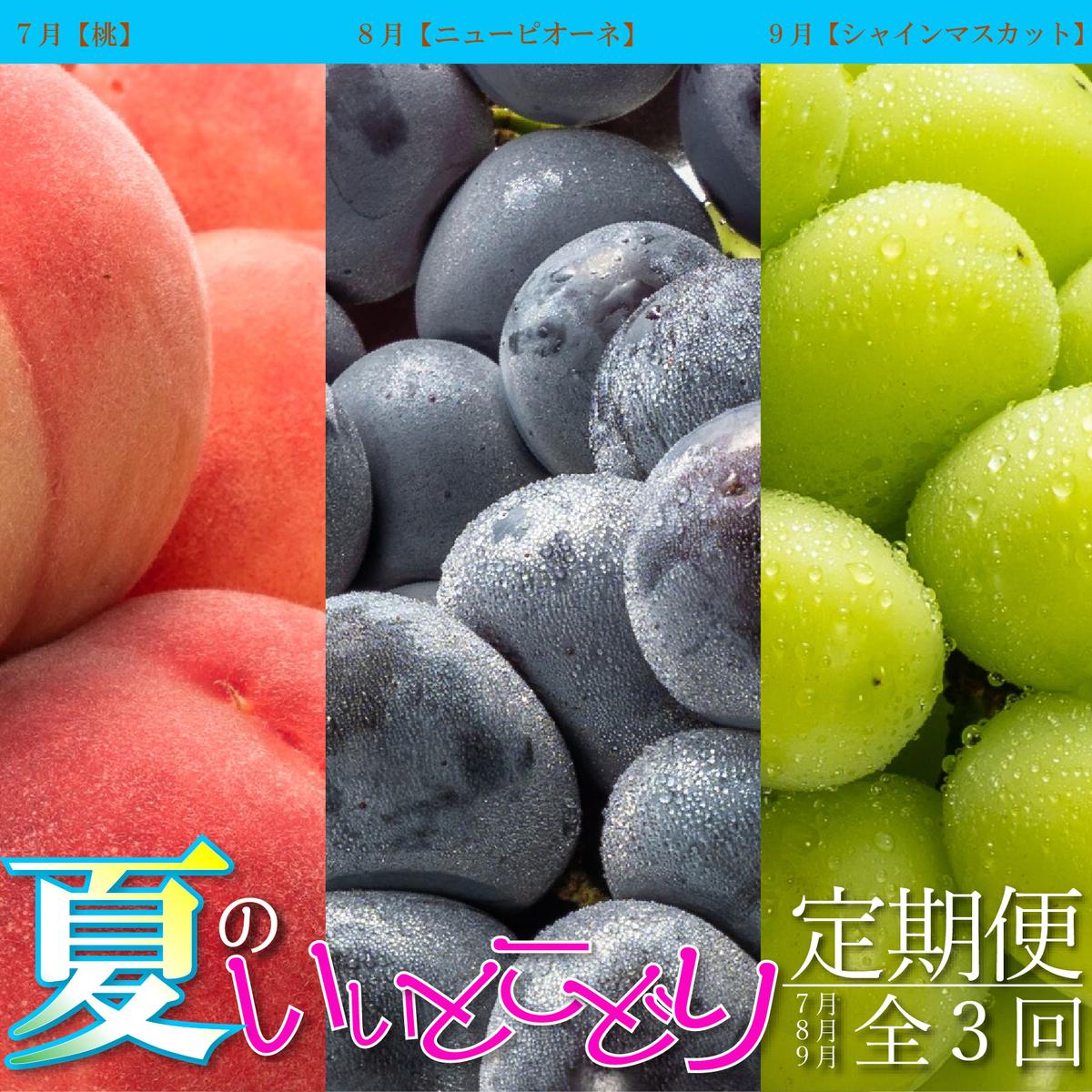 夏のいいとこどり定期便【全3回】 果物 桃 ぶどう フルーツ 果汁 甘い 濃厚 風味 種なし マスカット ジューシー 人気 セット 詰合せ
