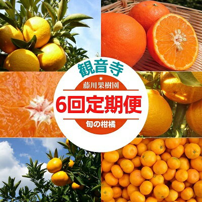 【6回 頒布会】みかん 定期便 6回 フルーツ フジカワ果樹園オリジナル（新季節の柑橘セット） 果物 詰合せ