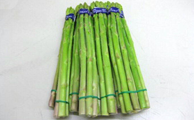 【ふるさと納税】香川県オリジナルアスパラガス「さぬきのめざめ」夏芽 約1.5kg 野菜 　お届け：2026年6月上旬～10月上旬頃※状況によって希望通りお届けできない場合もあります。 - 画像3