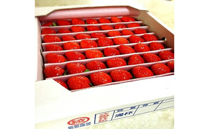 【ふるさと納税】【1月～順次発送】さぬきひめ苺　つる付き約1kg 果物類 いちご イチゴ 　お届け：2026年1月下旬～4月中旬 - 画像2