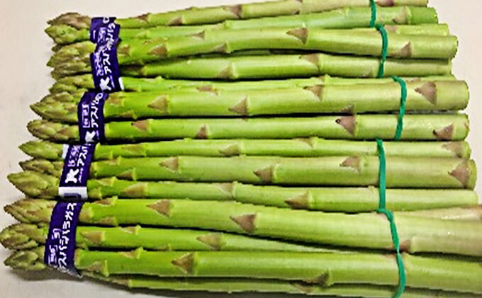 【ふるさと納税】香川県オリジナルアスパラガス「さぬきのめざめ」春芽　約500g 野菜 　お届け：2026年3月上旬～6月中旬 サムネイル2