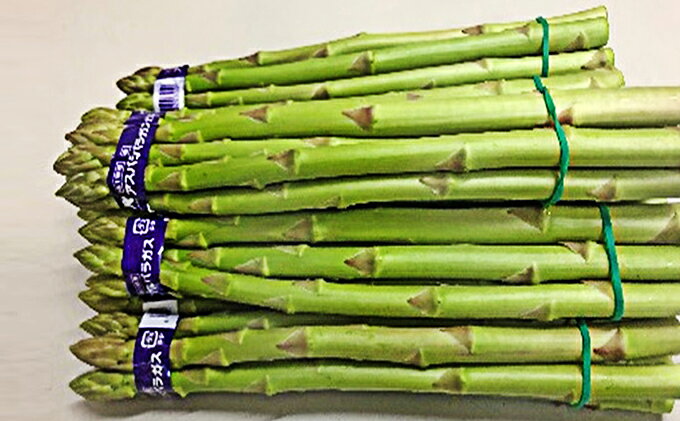 【ふるさと納税】香川県オリジナルアスパラガス「さぬきのめざめ」春芽　約1kg 野菜 　お届け：2026年3月上旬～6月中旬 - 画像2