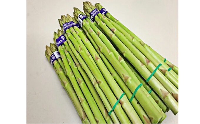 【ふるさと納税】香川県オリジナルアスパラガス「さぬきのめざめ」春芽　約1.5kg 野菜 　お届け：2026年3月上旬～6月中旬 - 画像2
