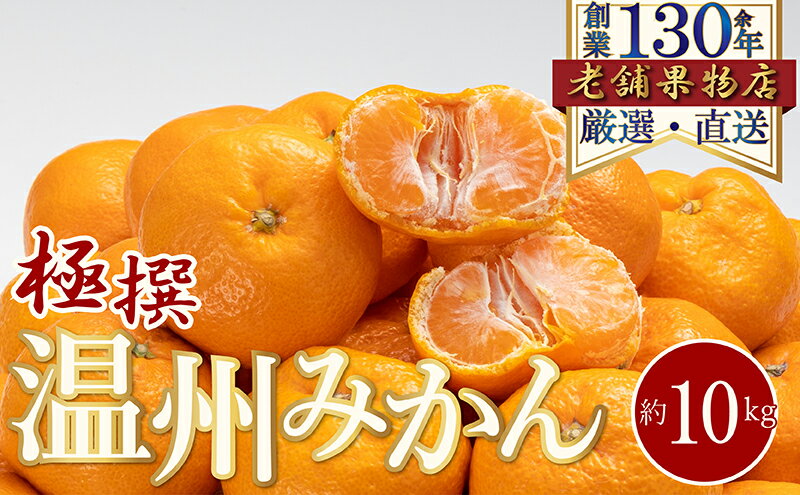 【ふるさと納税】極撰！温州みかん　約10kg 　お届け：2025年11月1日～2026年1月15日 サムネイル2