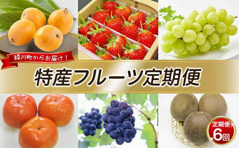 【ふるさと納税】特産 フルーツ 定期便（年6回） いちご びわ ピオーネ シャインマスカット 柿 キウイ ぶどう 香川 6 季節 旬 サムネイル2