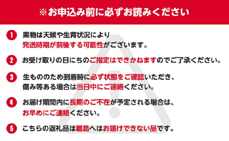 【ふるさと納税】特産 フルーツ 定期便（年6回） いちご びわ ピオーネ シャインマスカット 柿 キウイ ぶどう 香川 6 季節 旬 サムネイル3