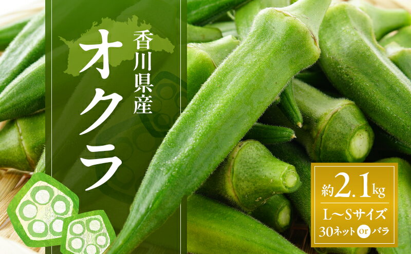 【ふるさと納税】オクラ 約2.1kg (L～Sサイズ) 30ネットまたはバラ詰め 野菜　お届け：2026年7月22日～10月10日 - 画像2