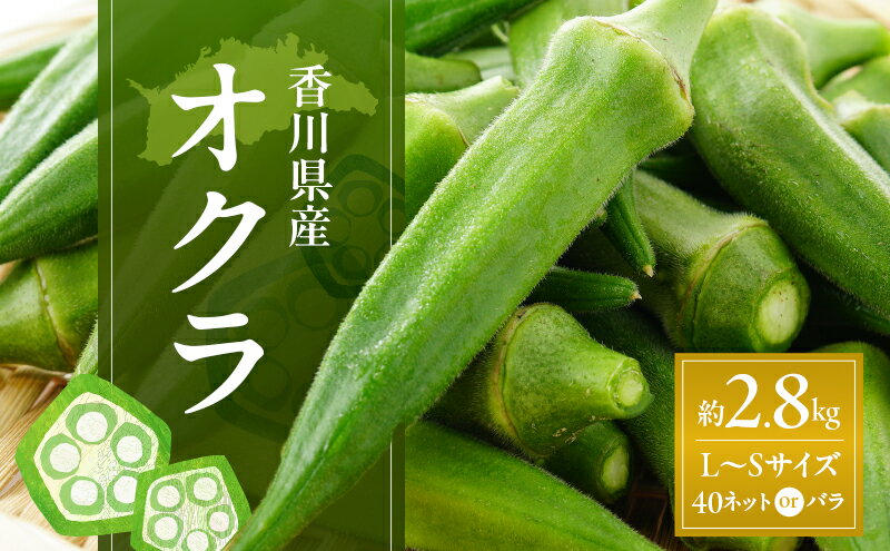 【ふるさと納税】オクラ 約2.8kg (L～Sサイズ) 40ネットまたはバラ詰め 野菜　お届け：2026年7月22日～10月10日 - 画像2