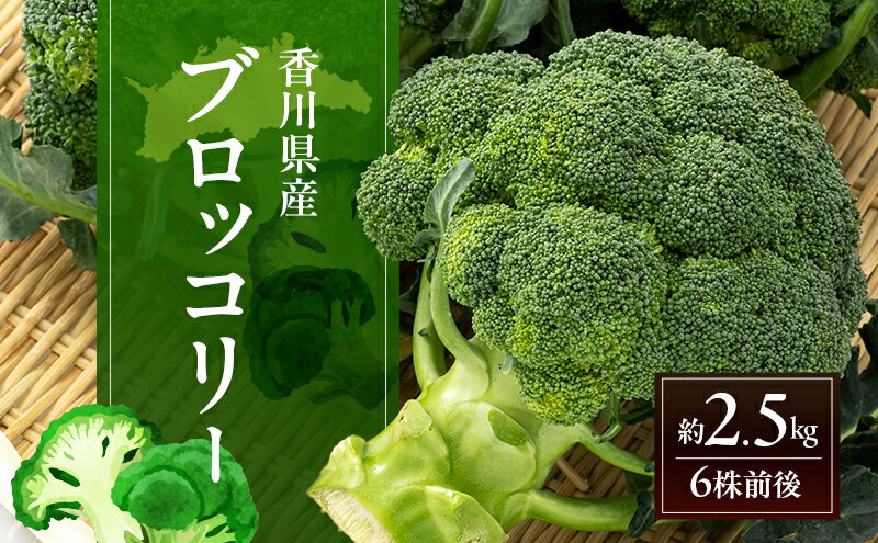 【ふるさと納税】ブロッコリー 約2.5kg (6株前後) 野菜　お届け：2025年11月25日～2026年6月9日 - 画像2