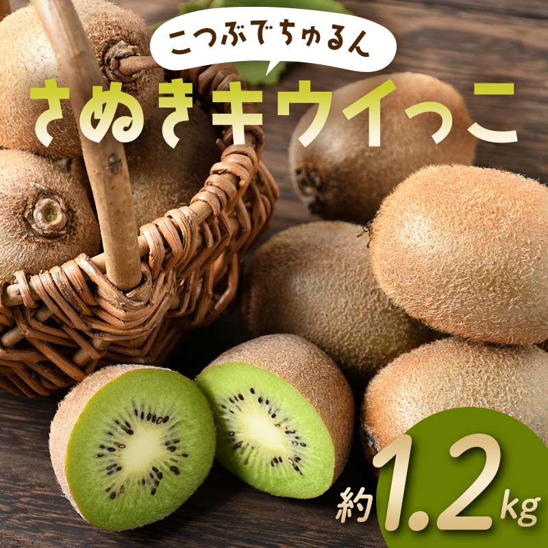 【先行予約】《2025年11月～2026年2月頃お届け》 こつぶでちゅるん さぬきキウイっこ 約1.2kg 一口サイズ 香川 四国 フルーツ 果物 くだもの キウイ キュウイ 果実 フルーツ 旬 香川県 香川県共通返礼品 F5J-1023