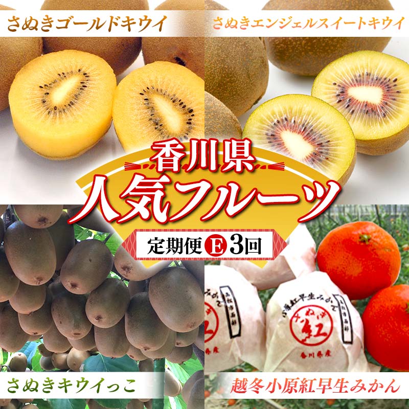 【人気フルーツ定期便E 4回】《さぬきキウイっこorさぬきエンジェルスイートキウイからスタート》さぬきゴールド さぬきエンジェルスイートキウイ さぬきキウイっこ 越冬小原紅早生みかん　各約1kg キウイ みかん 旬 フルーツ 果物 国産 香川県 F5J-1184