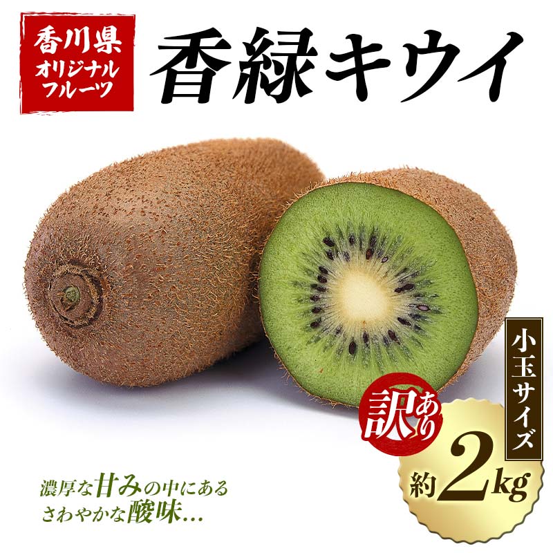 【先行予約2025年12月～2026年3月頃お届け】訳あり香緑キウイ (小玉サイズ) (約2kg) フルーツ 果物 くだもの キウイ 香緑 小玉 デザート キウイフルーツ 食品 名産 四国 1万円 F5J-1066