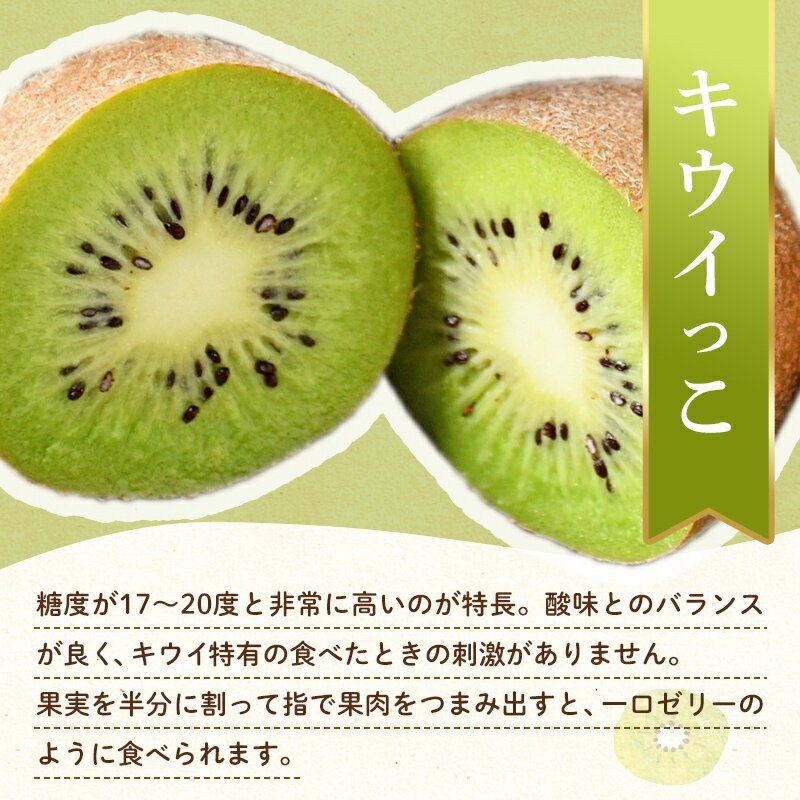 【ふるさと納税】【先行予約】《2025年11月下旬～12月中旬頃お届け》 こつぶでちゅるん さぬきキウイっこ 約1.8kg 糖度 17～20度 一口サイズ 香川 四国 フルーツ 果物 くだもの キウイ キュウイ 果実 フルーツ 旬 香川県 香川県共通返礼品 F5J-544 サムネイル2