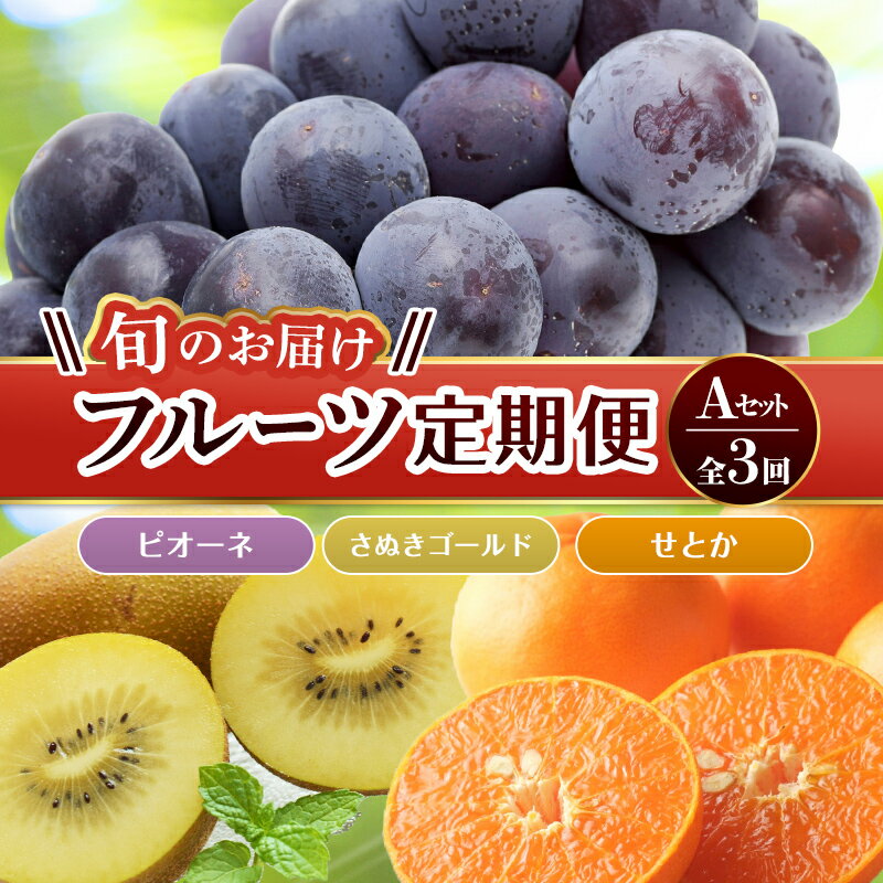 【フルーツ定期便 3回】 《せとかからスタート》 Aセット ピオーネ 約1.2kg さぬきゴールド 約2.7kg せとか 約5kg ぶどう キウイ キウイフルーツ みかん 柑橘 旬 果物 国産 香川県 フルーツ定期便 F5J-793