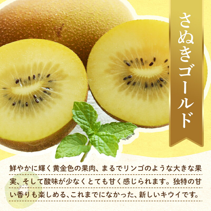 【ふるさと納税】【フルーツ定期便 3回】 《せとかからスタート》 Aセット ピオーネ 約1.2kg さぬきゴールド 約2.7kg せとか 約5kg ぶどう キウイ キウイフルーツ みかん 柑橘 旬 果物 国産 香川県 フルーツ定期便 F5J-793 サムネイル3