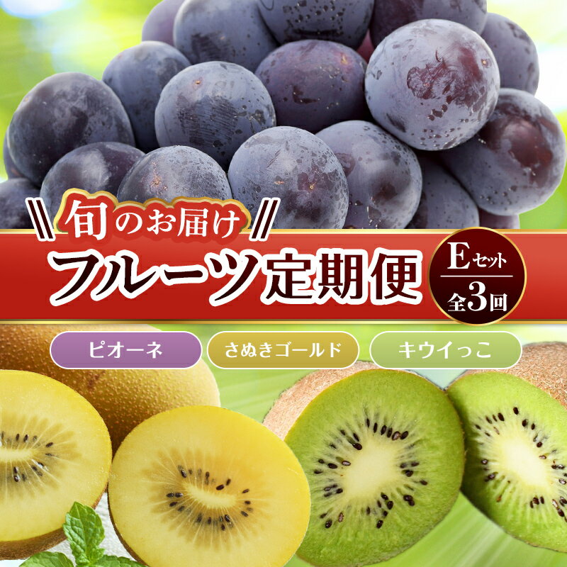 【フルーツ定期便 3回】 《キウイっこからスタート》 Eセット ピオーネ 約1.2kg さぬきゴールド 約2.7kg キウイっこ 約1.8kg ぶどう キウイ キウイフルーツ 旬 果物 国産 香川県 フルーツ定期便 F5J-797