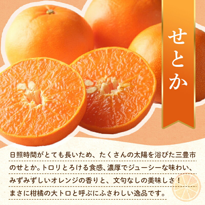 【ふるさと納税】【フルーツ定期便 3回】 《小原紅早生みかんからスタート》 Hセット ピオーネ 約1.2kg 小原紅早生みかん 約4.5kg せとか 約5kg ぶどう みかん 柑橘 旬 果物 国産 香川県 フルーツ定期便 F5J-800 サムネイル3