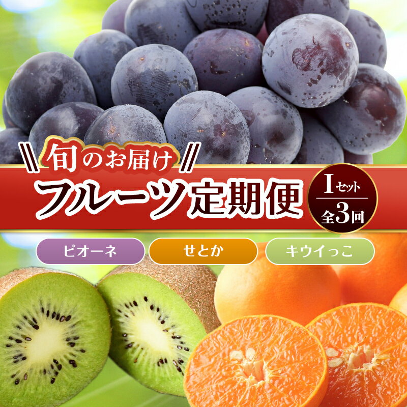 【フルーツ定期便 3回】 《キウイっこからスタート》 Iセット ピオーネ 約1.2kg キウイっこ 約1.8kg せとか 約5kg ぶどう キウイ キウイフルーツ みかん 柑橘 旬 果物 国産 香川県 フルーツ定期便 F5J-801