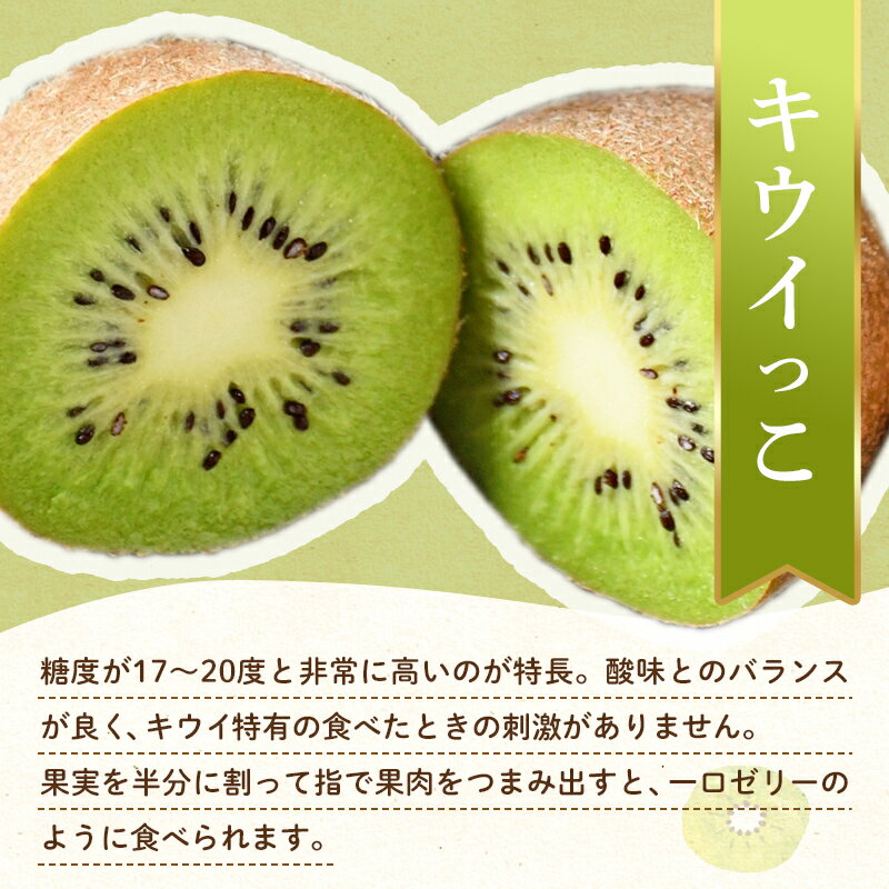 【ふるさと納税】【先行予約】《2025年11月～2026年2月頃お届け》 こつぶでちゅるん さぬきキウイっこ 約1.2kg 一口サイズ 香川 四国 フルーツ 果物 くだもの キウイ キュウイ 果実 フルーツ 旬 香川県 香川県共通返礼品 F5J-1023 サムネイル3