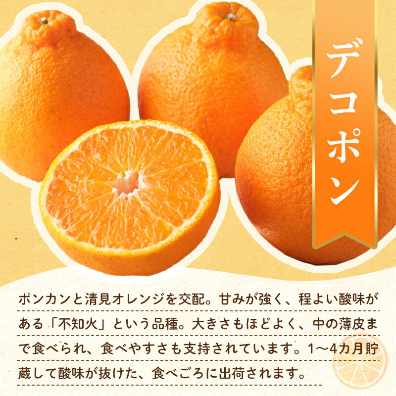 【ふるさと納税】【先行予約】《2026年3月頃お届け》 デコポン 瀬戸内の果汁溢れるみかん 不知火 約1.5kg しらぬい みかん 柑橘 フルーツ 旬 でこぽん デコポン 厳選 F5J-1024 サムネイル3