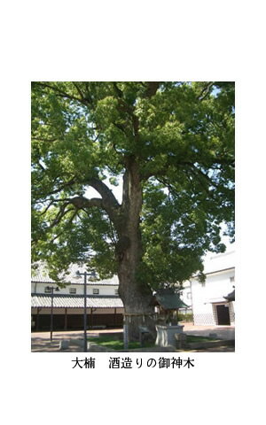 【ふるさと納税】特別純米酒 楠神 720ml 2本セット（提供：西野金陵株式会社）香川県産 特別純米酒 オオセト 食中酒 サムネイル2