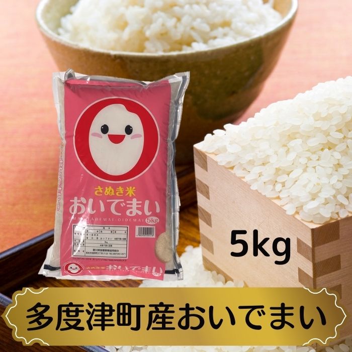 多度津町産おいでまい 5kg 【令和7年産】【香川県食糧事業協同組合】おこめ 新米 特Aランク