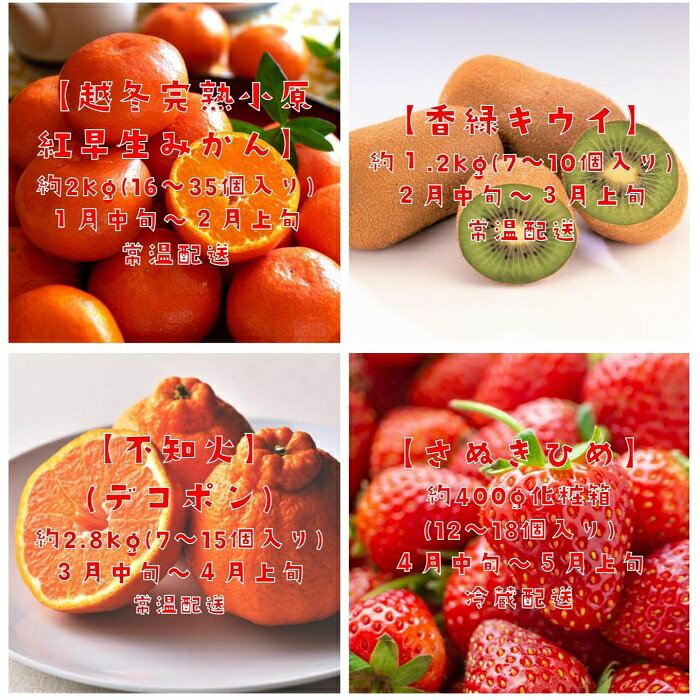 【ふるさと納税】【フルーツ定期便】フルーツ王国さぬきの旬のフルーツを毎月1種類ずつお届け しあわせ製麺 シャインマスカット ピオーネ さぬきひめ さぬきゴールド デコポン デラウエア 小原紅早生みかん キウイっこ 香緑 なつたより サムネイル2