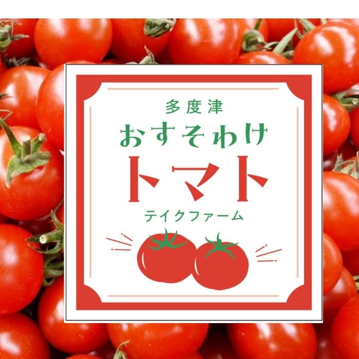 【ふるさと納税】テイクファームの 「多度津おすそわけミニトマト」約1.4kg【旬の時期にお届け】【L-44】〔提供：テイクファーム〕トマト リコピン カロチン - 画像3