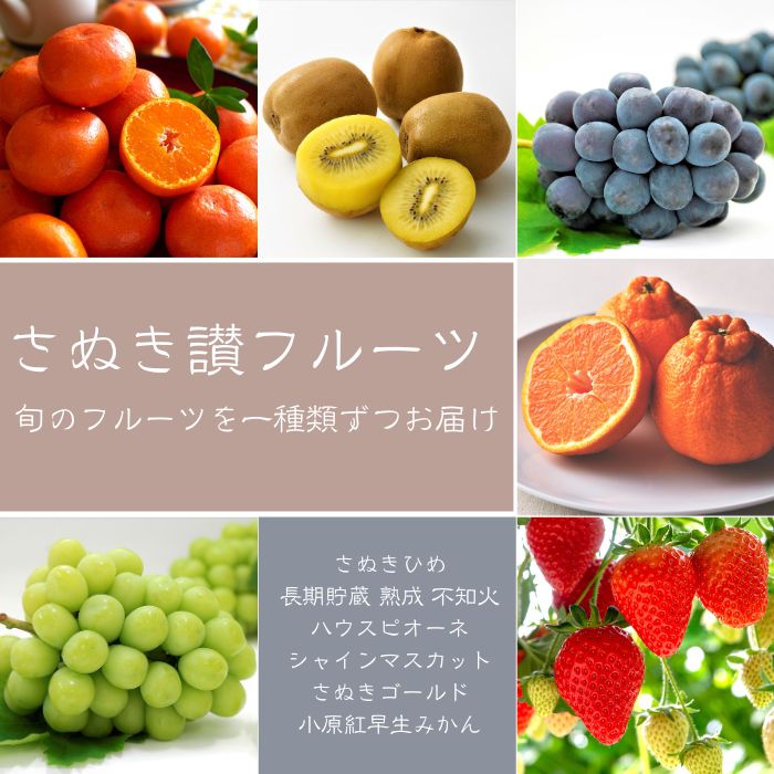 【フルーツ定期便】さぬき讃フルーツ6種類 旬のフルーツを1種類ずつお届け 〔提供：ことひら街道〕シャインマスカット ピオーネ びわ さぬきゴールド デコポン さぬきひめ いちご フルーツ くだもの 香川県 多度津町 旬 新鮮 ふるーつ 果物