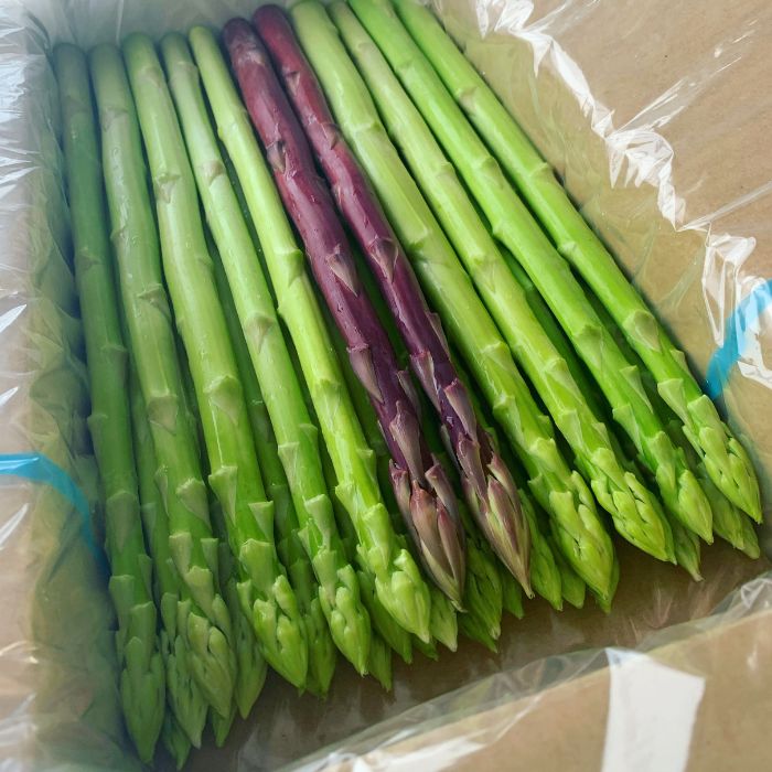 【ふるさと納税】アスパラ王子が育てた自慢のアスパラ「Lサイズ」1kg【予約受付：令和8年3～4月頃から順次発送】〔さぬきのめざめ おおもりや アスパラガス 春芽 ジューシー 長い 甘い 太い 贈答用 家庭用 〕〔提供：おおもりや〕 - 画像2