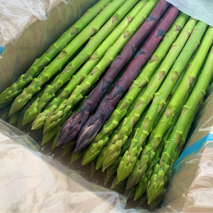 【ふるさと納税】アスパラ王子が育てた自慢のアスパラ「2Lサイズ」1kg【予約受付：令和8年3～4月頃から順次発送】【H-55】〔提供：おおもりや〕〔さぬきのめざめ おおもりや アスパラガス 春芽 ジューシー 長い 甘い 太い 贈答用 家庭用 〕 - 画像2